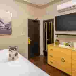Staypineapple, An Elegant Hotel, Union Square, 6 of 6