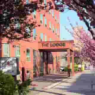 The Lodge Red Hook, 5 of 6
