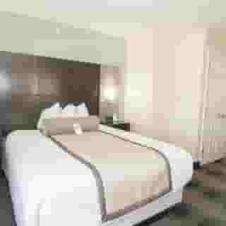 Wingate by Wyndham Orlando International Airport, 6 of 6