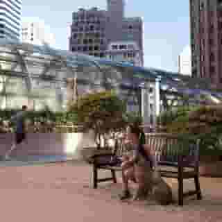 Galleria Park Hotel, 3 of 6