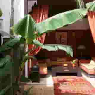 Riad Pachavana, 5 of 6