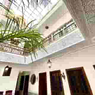 Riad Nouhal, 2 of 6