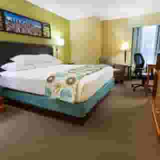 Drury Inn & Suites Houston Near the Galleria, 3 of 6