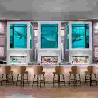Palms Casino Resort, 2 of 6