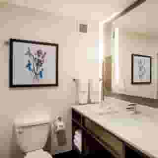 Hilton Garden Inn Nashville/Smyrna, 6 of 6