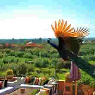 Riad Al Mendili Kasbah Private Resort & Spa, 3 of 6
