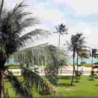 Cavalier Hotel South Beach, 5 of 6