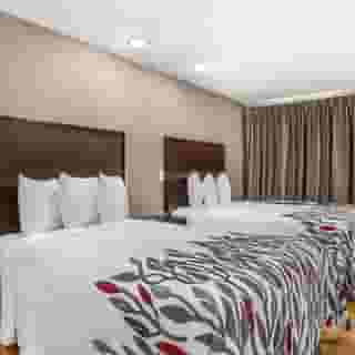 Red Roof Inn North Dallas - Park Central, 4 of 6