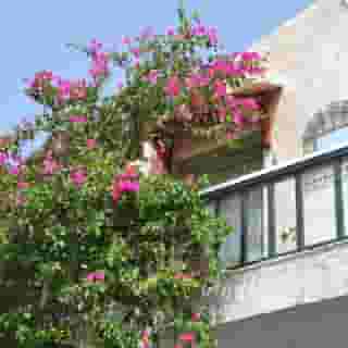 Elounda Colour, 4 of 6