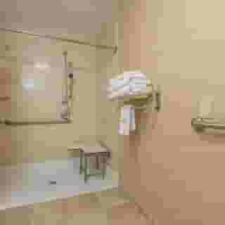 Hampton Inn & Suites Orlando-South Lake Buena Vista, 2 of 6