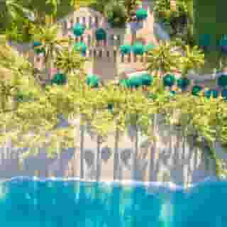 Coral Reef Club, 2 of 6