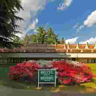 Hotel Pineta, 4 of 6