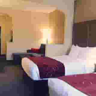 Comfort Suites Bush Intercontinental Airport, 4 of 6