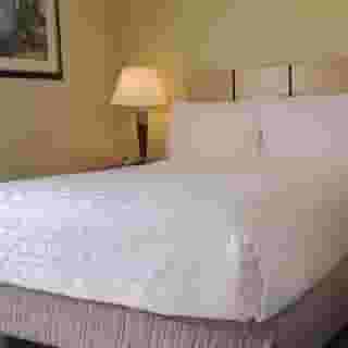 Candlewood Suites Houston Medical Center by Ihg, 3 of 6