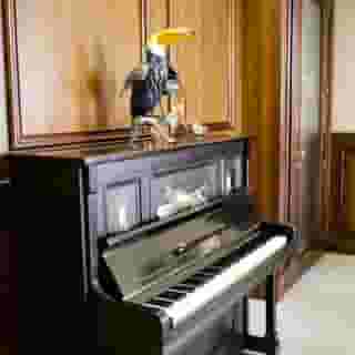 Hotel Lanfipe Palace, 5 of 6