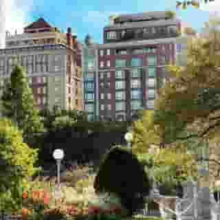 The Newbury Boston, 3 of 6