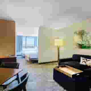 SpringHill Suites by Marriott Miami Airport South Blue Lagoon Area, 6 of 6