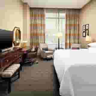Sheraton McKinney Hotel, 3 of 6