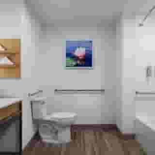 Hilton Garden Inn Orlando I-4 Millenia Blvd Mall, 1 of 6
