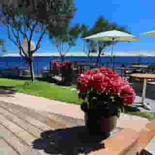 Hotel Alivi, 6 of 6