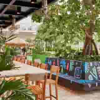 Arlo Wynwood Miami, 4 of 6