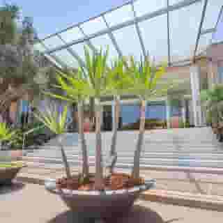 Grupotel Santa Eularia & Spa - Adults Only, 2 of 6
