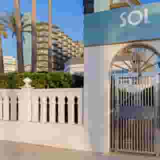 Sol Principe, 1 of 6