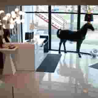 NoBo Hotel, 3 of 6
