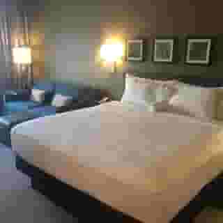 Hilton Garden Inn Austin Airport, 5 of 6