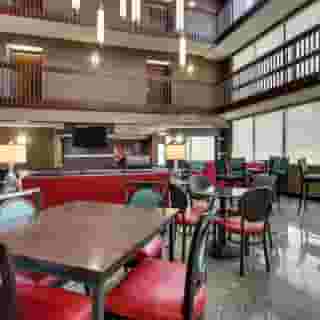 Drury Inn & Suites Houston Near the Galleria, 5 of 6