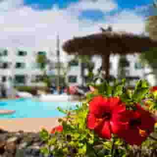 Galeon Playa Apartments, 5 of 6