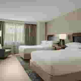 Sheraton Metairie - New Orleans Hotel, 6 of 6