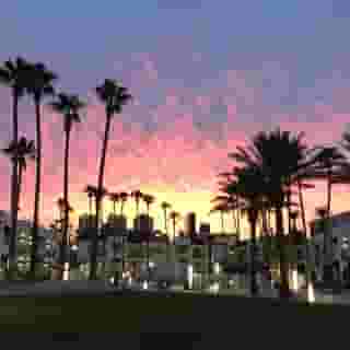 Serene Vegas Boutique Hotel Las Vegas, 2 of 6