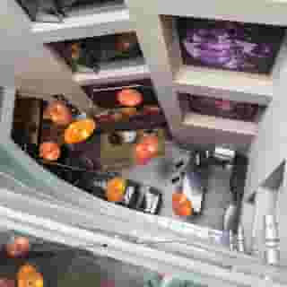 Nexus Valladolid Suites & Hotel, 6 of 6