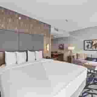 Embassy Suites by Hilton Irving Las Colinas, 5 of 6