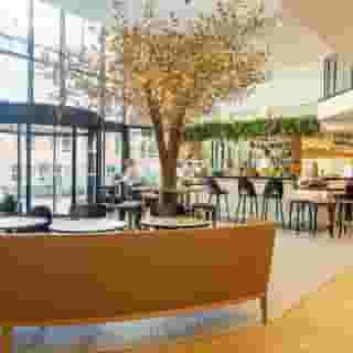 Novotel Suresnes Longchamp, 1 of 6
