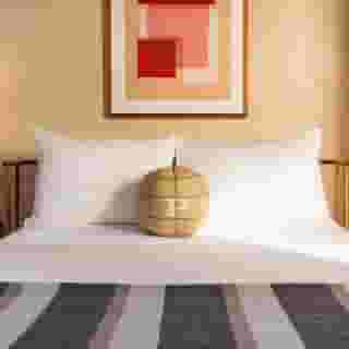 Palihotel San Francisco, 2 of 6