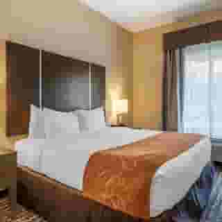 Comfort Suites Near Sam Houston Race Park, 5 of 6