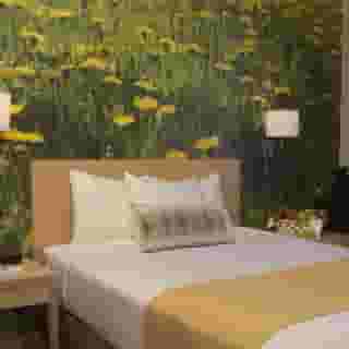 Adria Hotel And Conference Center, 4 of 6