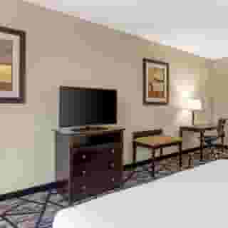 Best Western Plus Hobby Airport Inn & Suites, 4 of 6