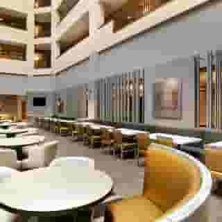 Embassy Suites by Hilton Dallas Dfw Airport North, 5 of 6