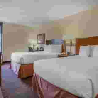 SureStay Plus Hotel by Best Western Chicago Lombard, 2 of 6