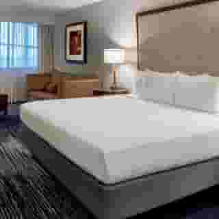 Sonesta Hotel Houston Iah Airport, 5 of 6