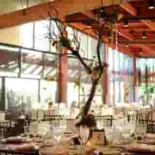 Holiday Inn Express & Suites Chicago-Libertyville by Ihg, 3 of 6