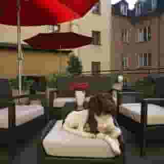 Home Hotel Wellington, 4 of 6