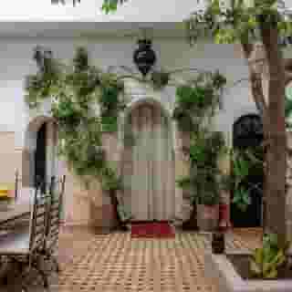 Riad Amegrad, 2 of 6