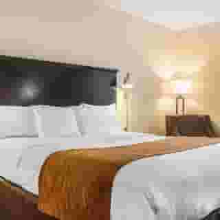 Comfort Inn & Suites LaGuardia Airport, 2 of 6