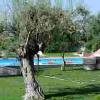 Torre Don Virgilio Country Hotel, 5 of 6