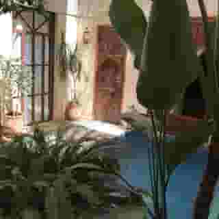 Riad Belle Époque, 3 of 6