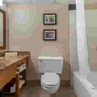 Comfort Inn & Suites Glen Mills - West Chester, 5 of 6